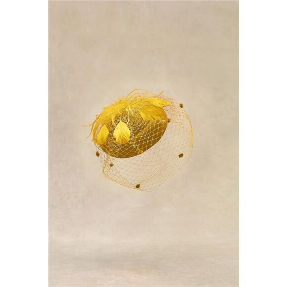 Fascinator Hat Veil Feather Fascinators Hair Clip Tea Party Pillbox - Picture 2 of 5